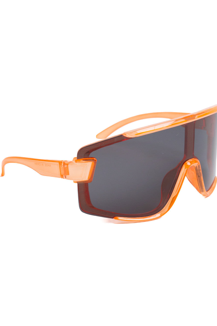 Ski Goggle Shield Sunglasses