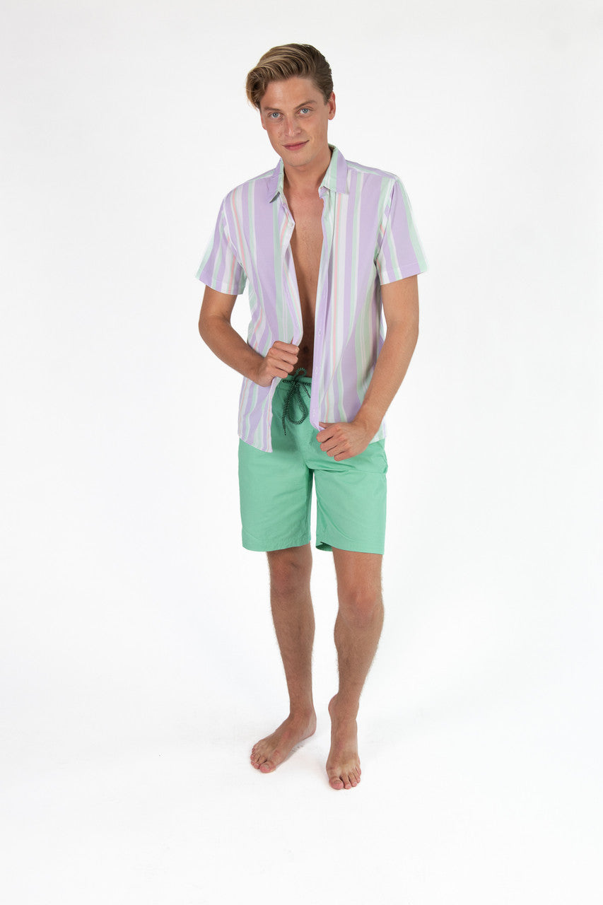 Lavender Striped Button Up Shirt