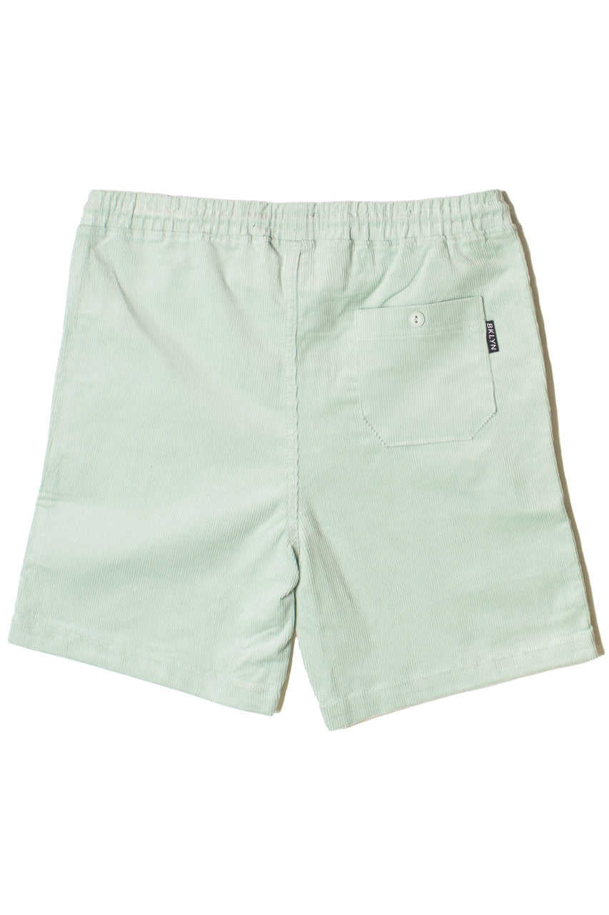 Velvet Corduroy Shorts