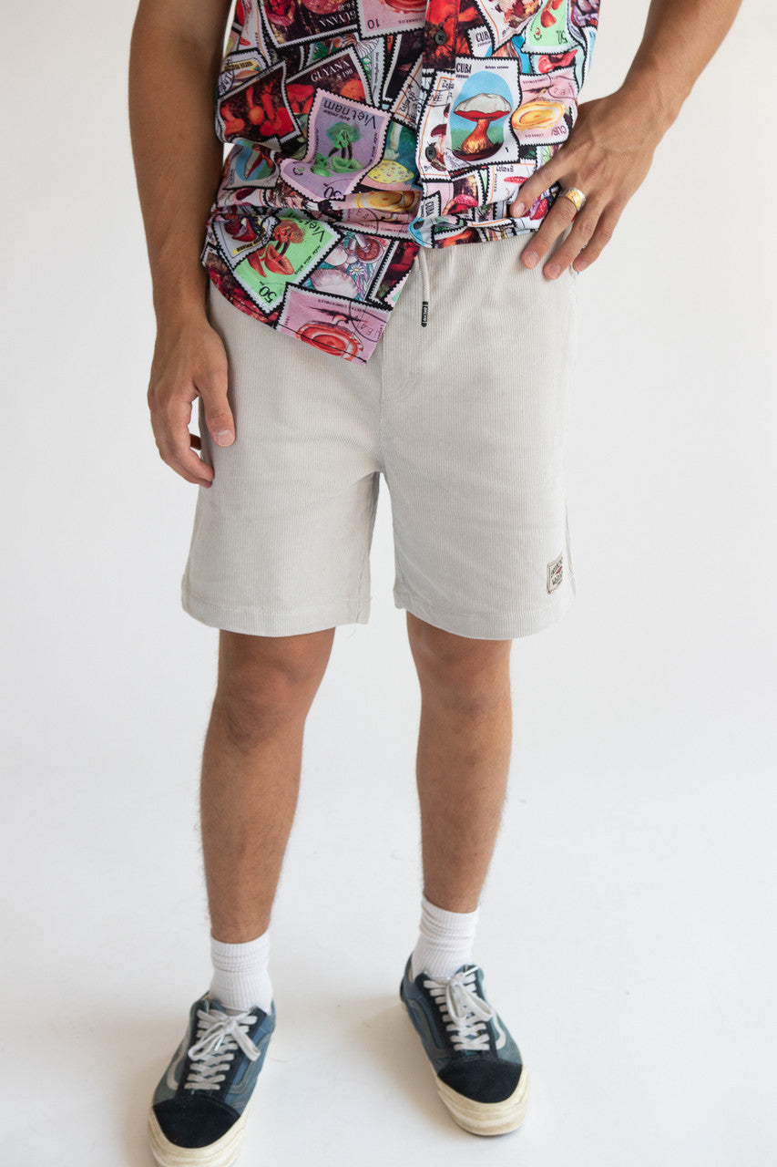 Velvet Corduroy Shorts