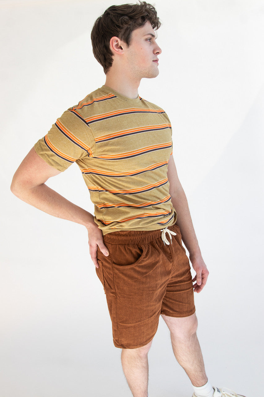 Plush Corduroy Shorts