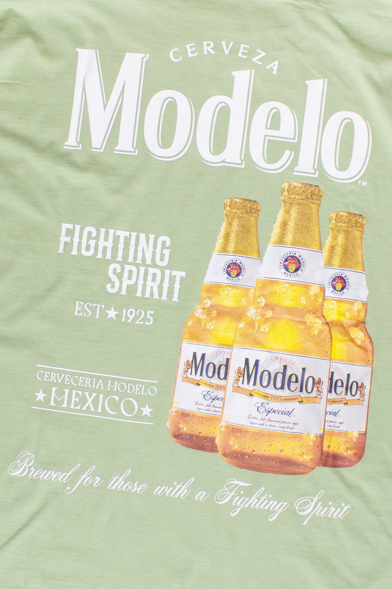 Modelo Fighting Spirit T-Shirt