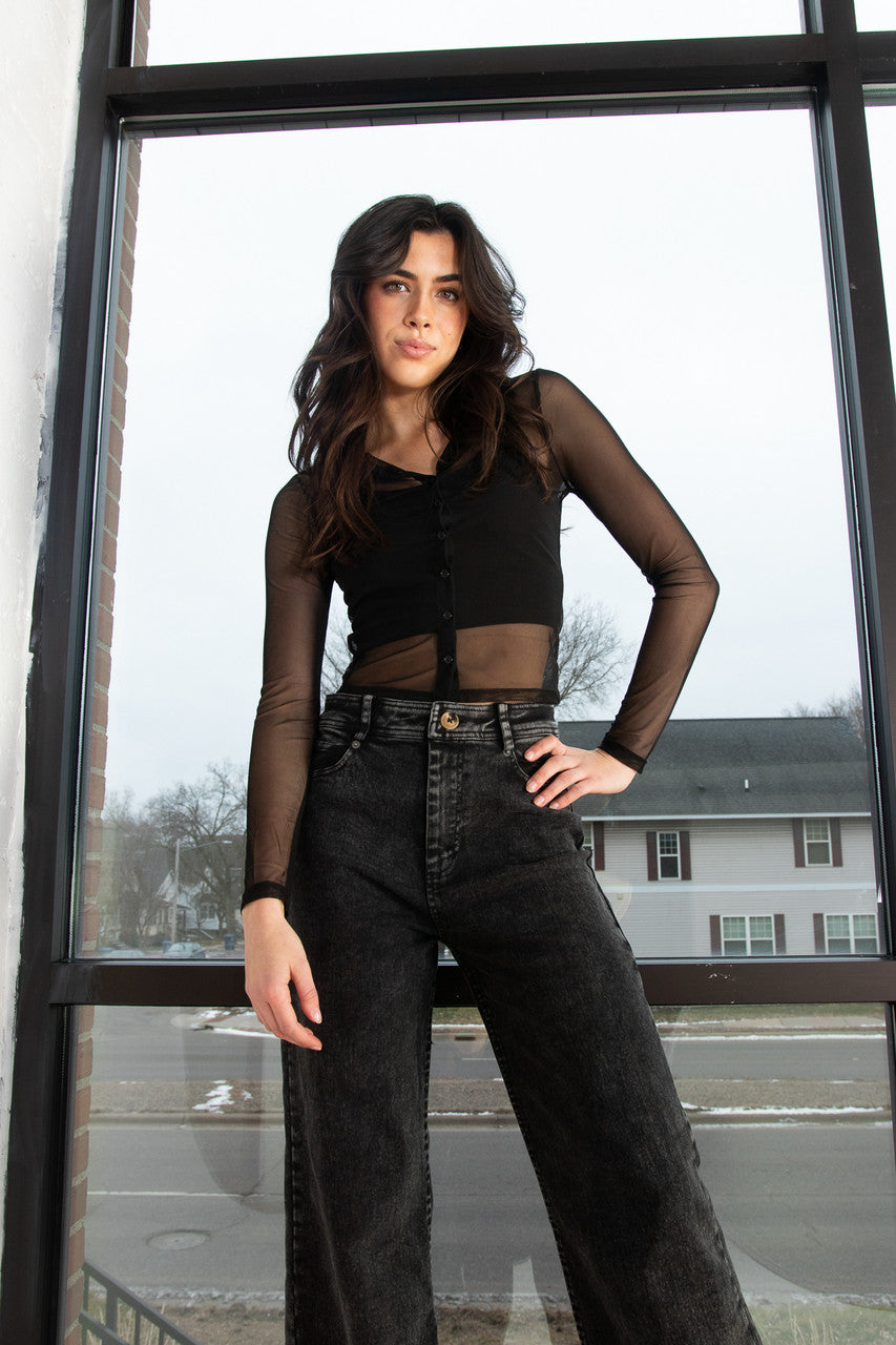 Long Sleeve Mesh Button Up Shirt