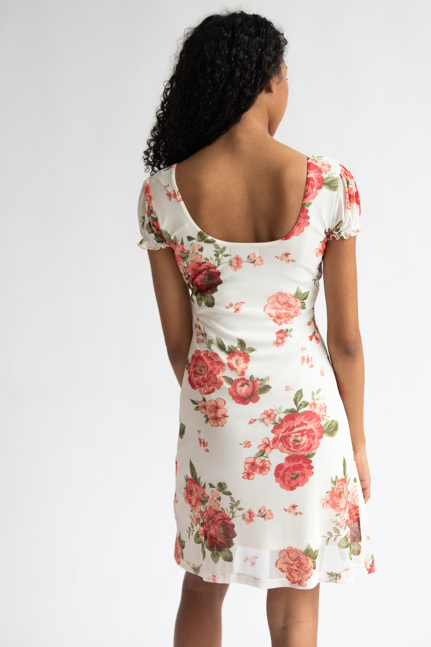 Puff Sleeve Floral Mesh Mini Dress