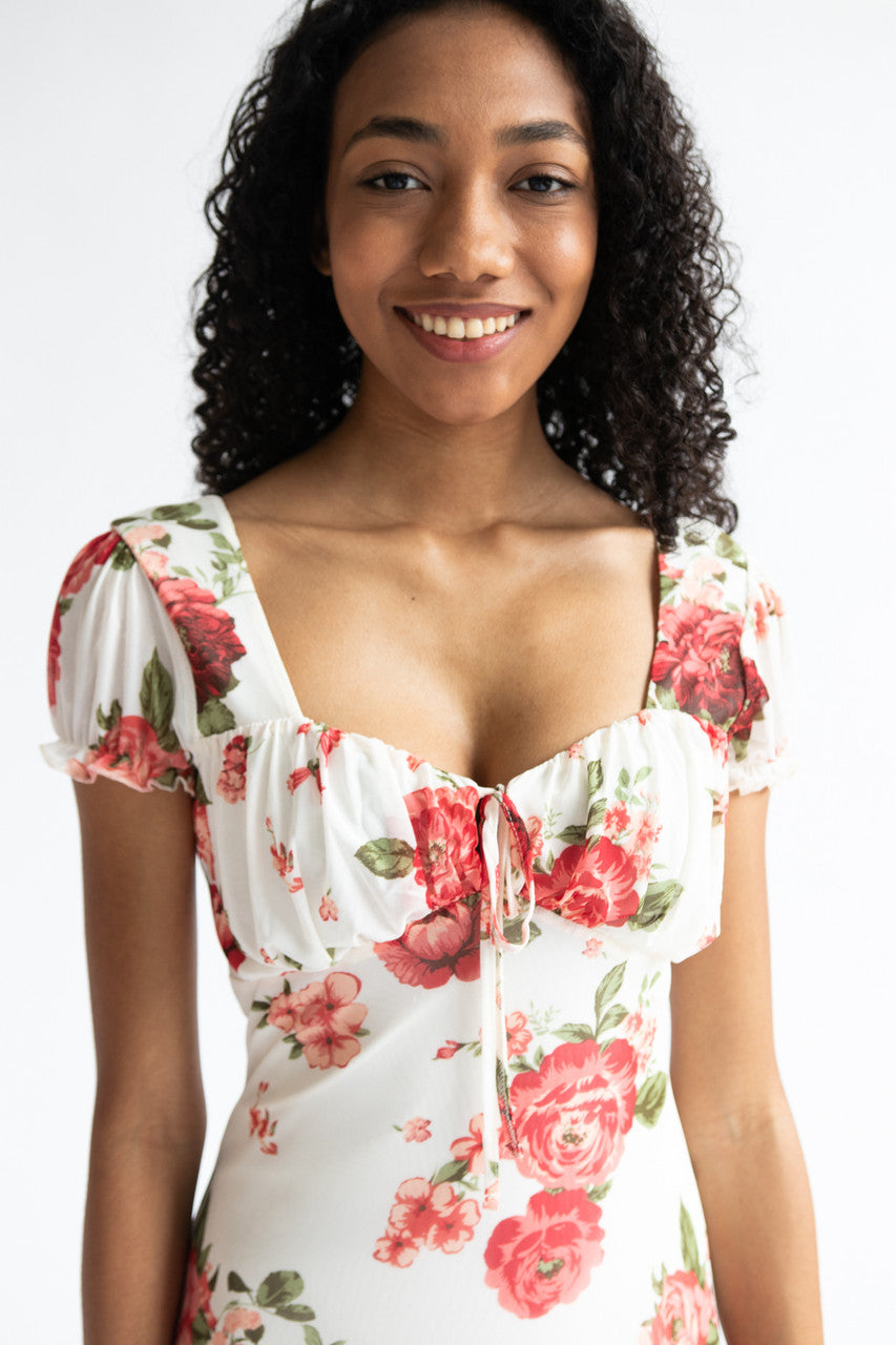 Puff Sleeve Floral Mesh Mini Dress