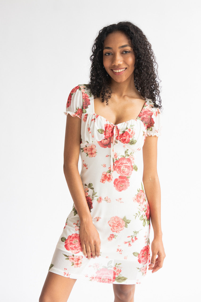 Puff Sleeve Floral Mesh Mini Dress