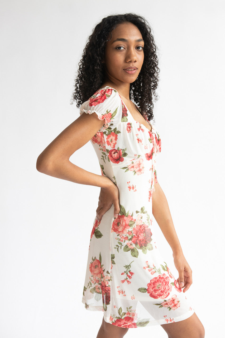 Puff Sleeve Floral Mesh Mini Dress