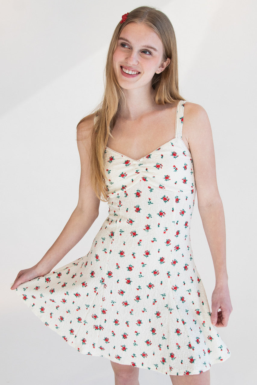 Rose Print Fit & Flare Mini Dress