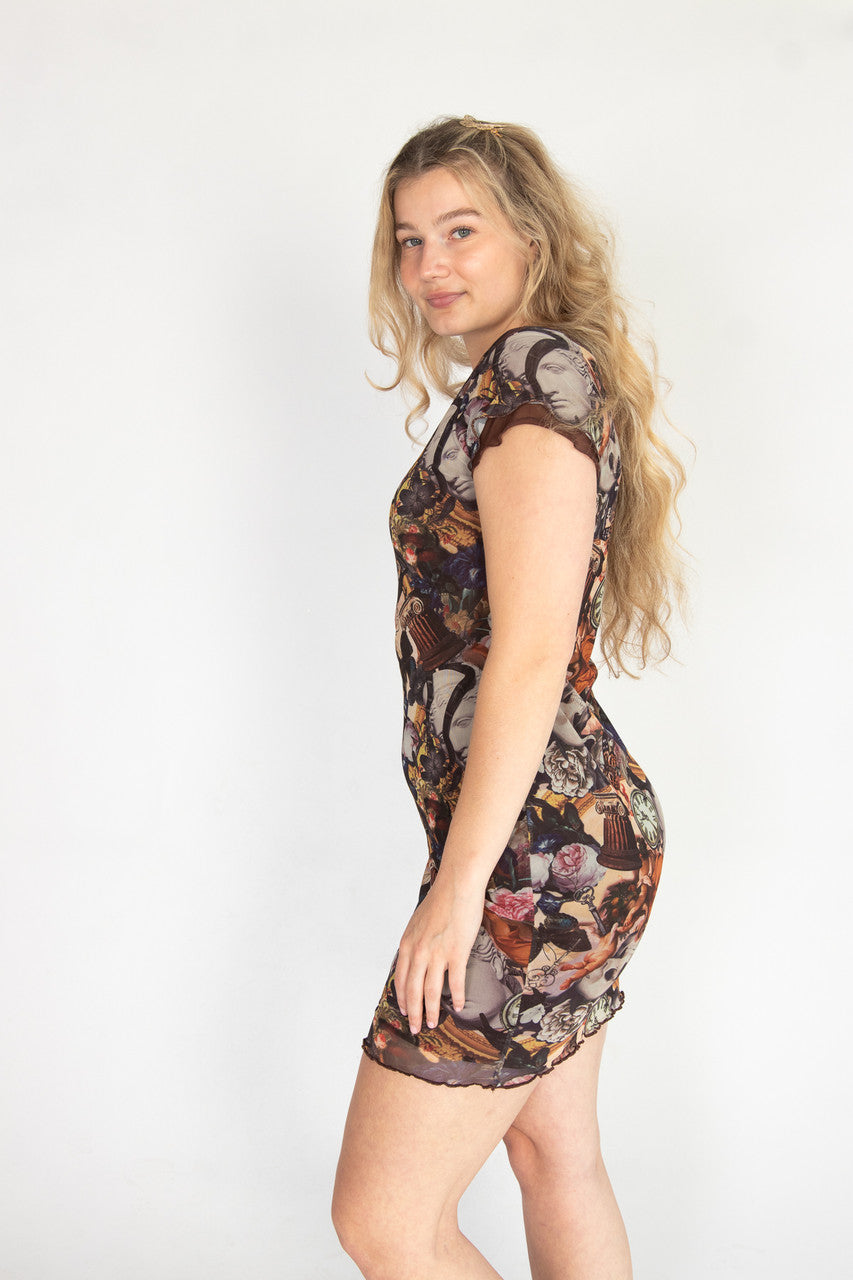 Printed Double Layer Mesh Dress