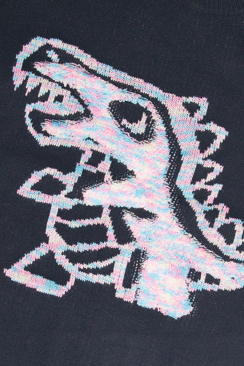Dinosaur Sweater
