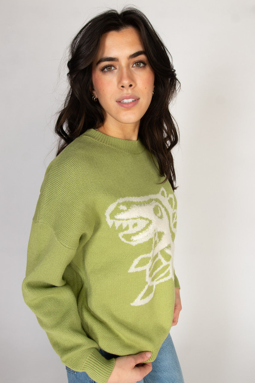 Dinosaur Sweater