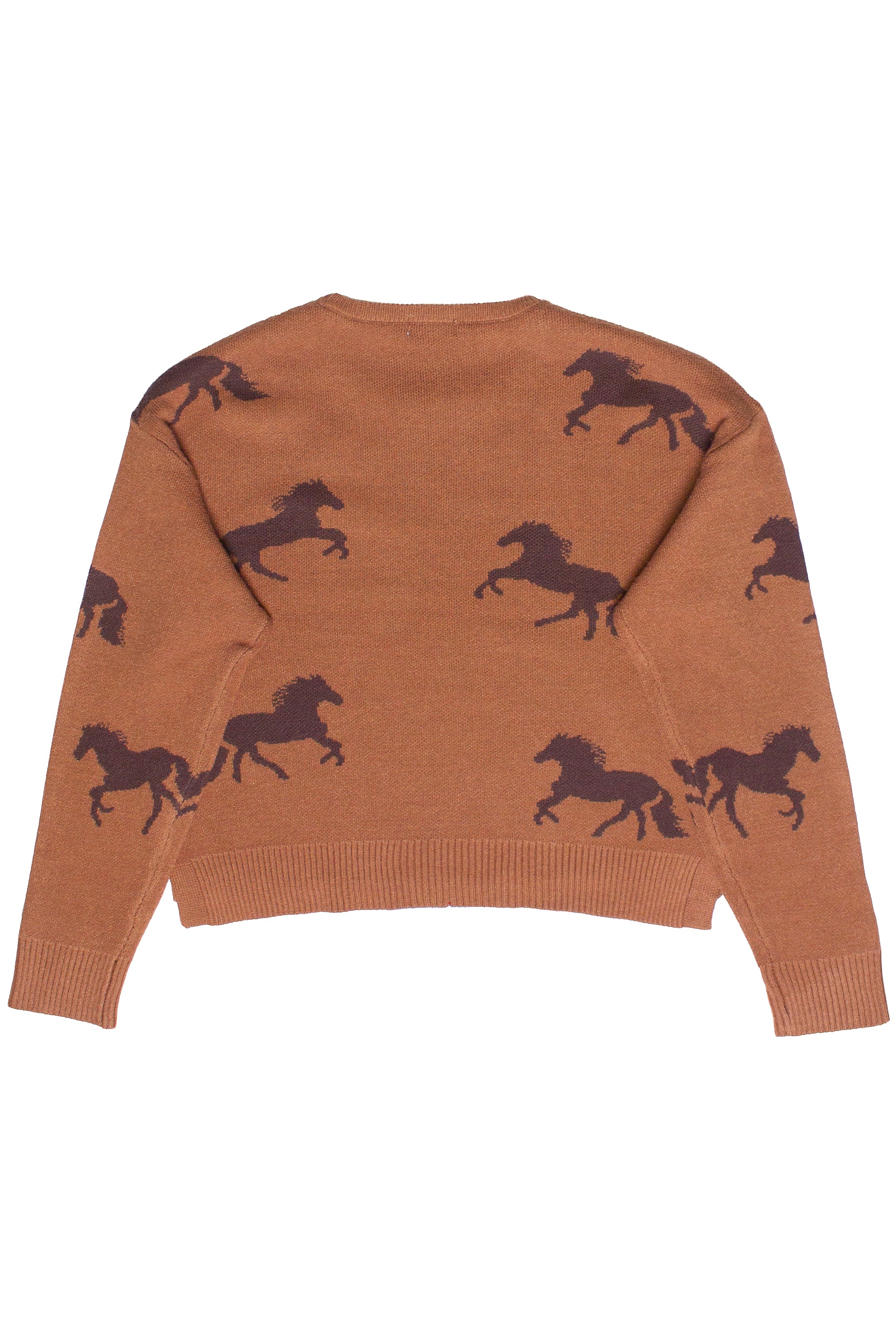 Hold Your Horses Sweater