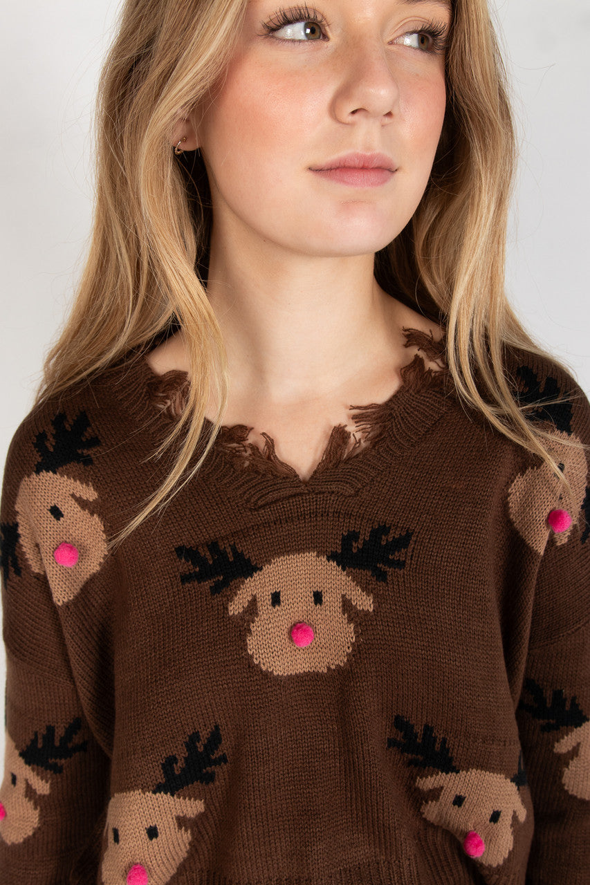Reindeer Pals Distressed Sweater