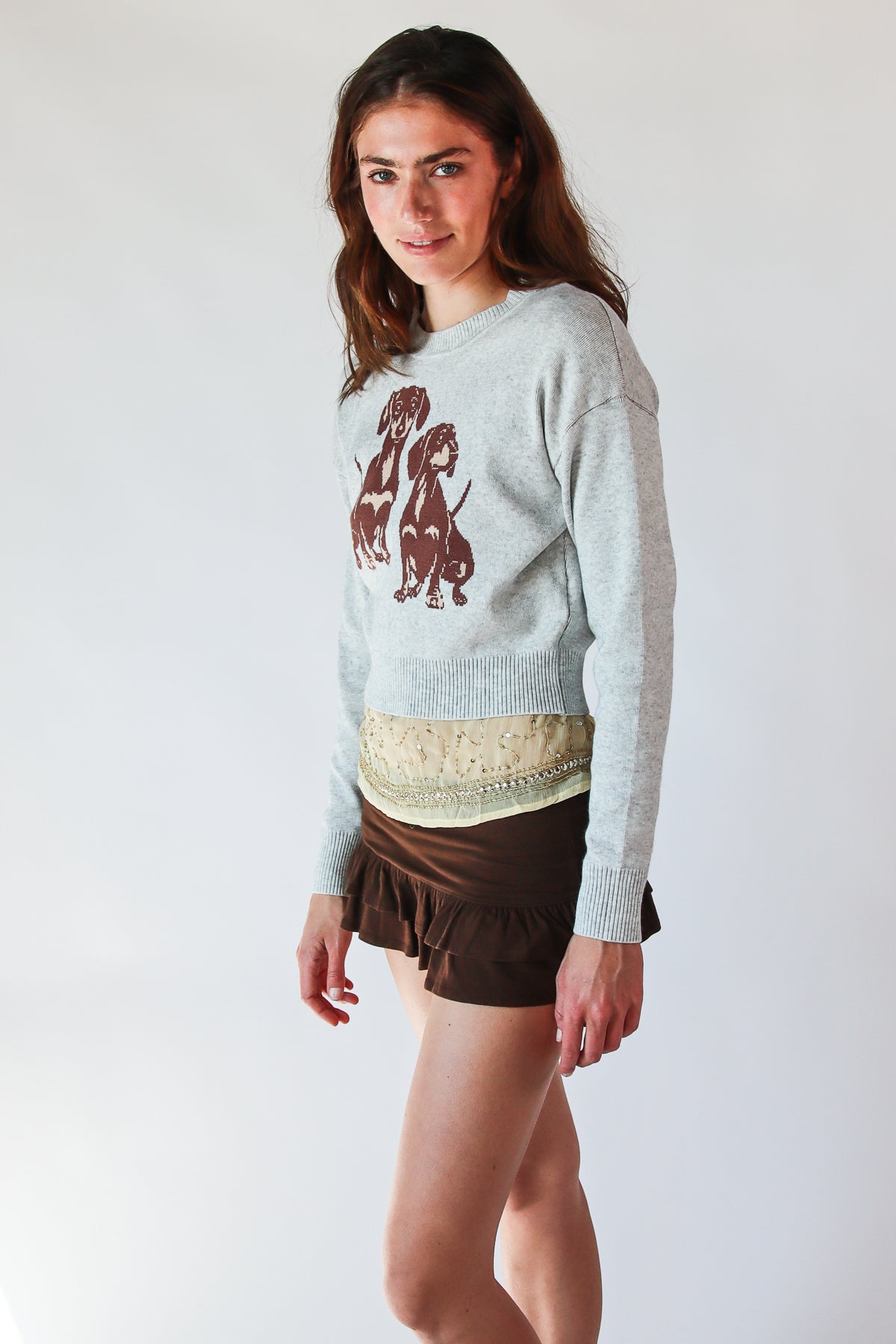 Dachshund Sweater