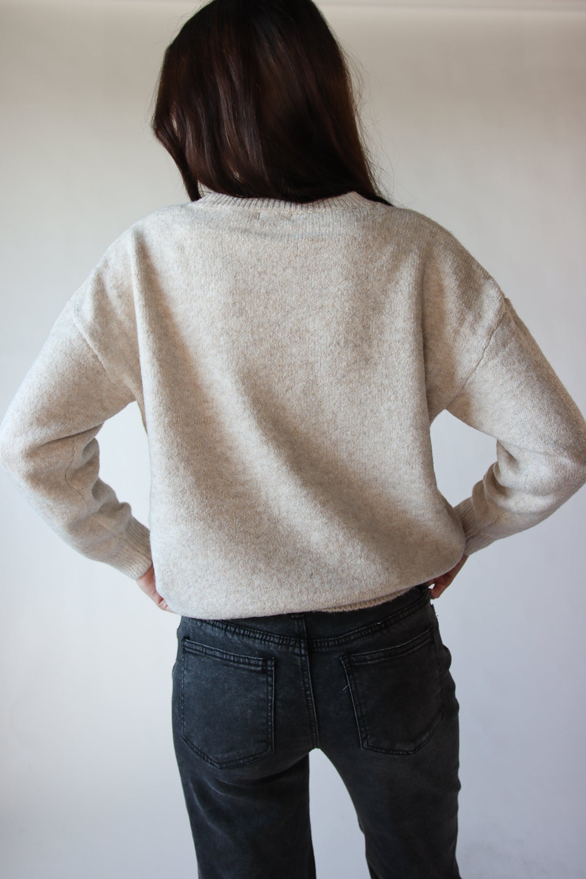 Duck Family Sweater
