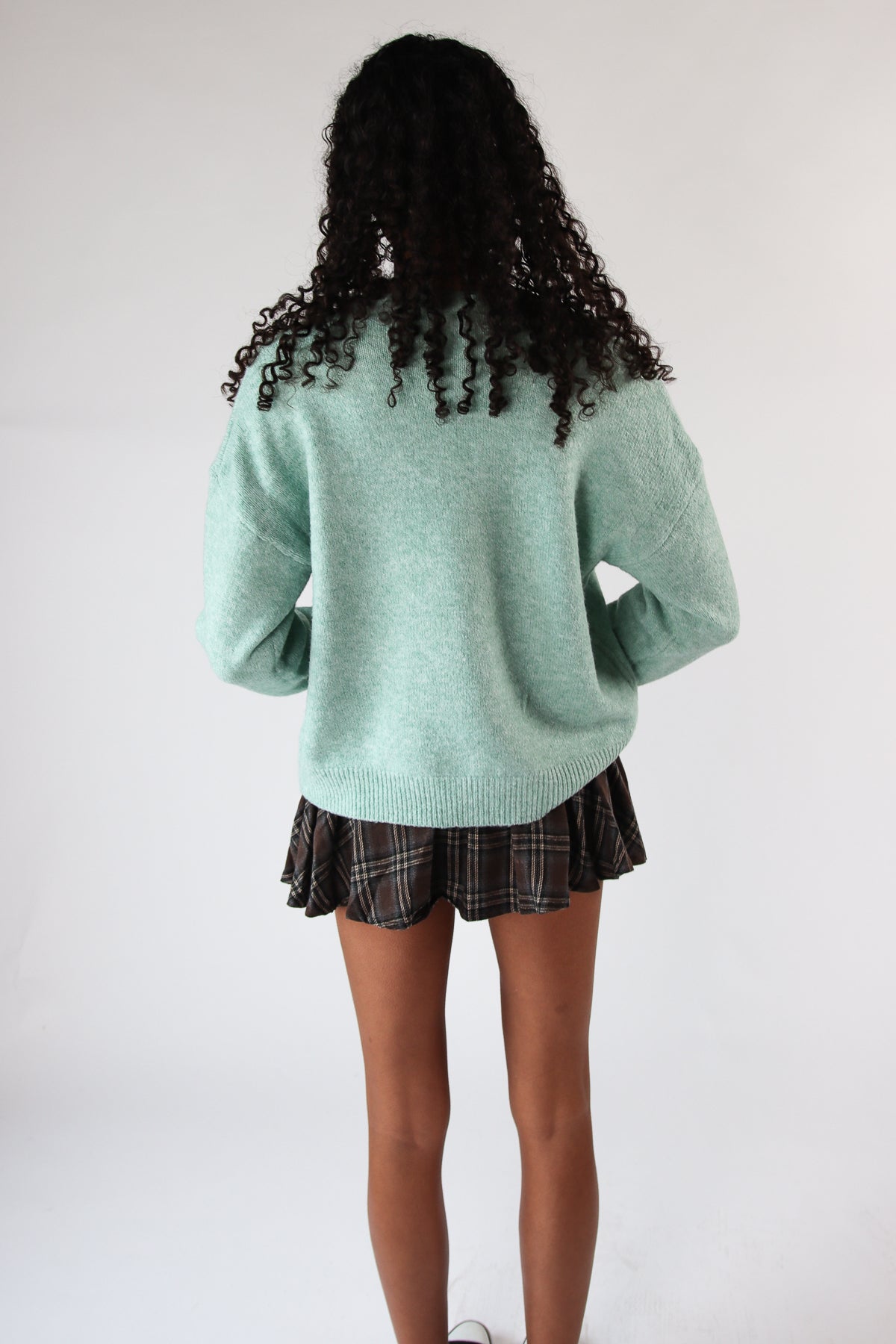 Duck Family Sweater