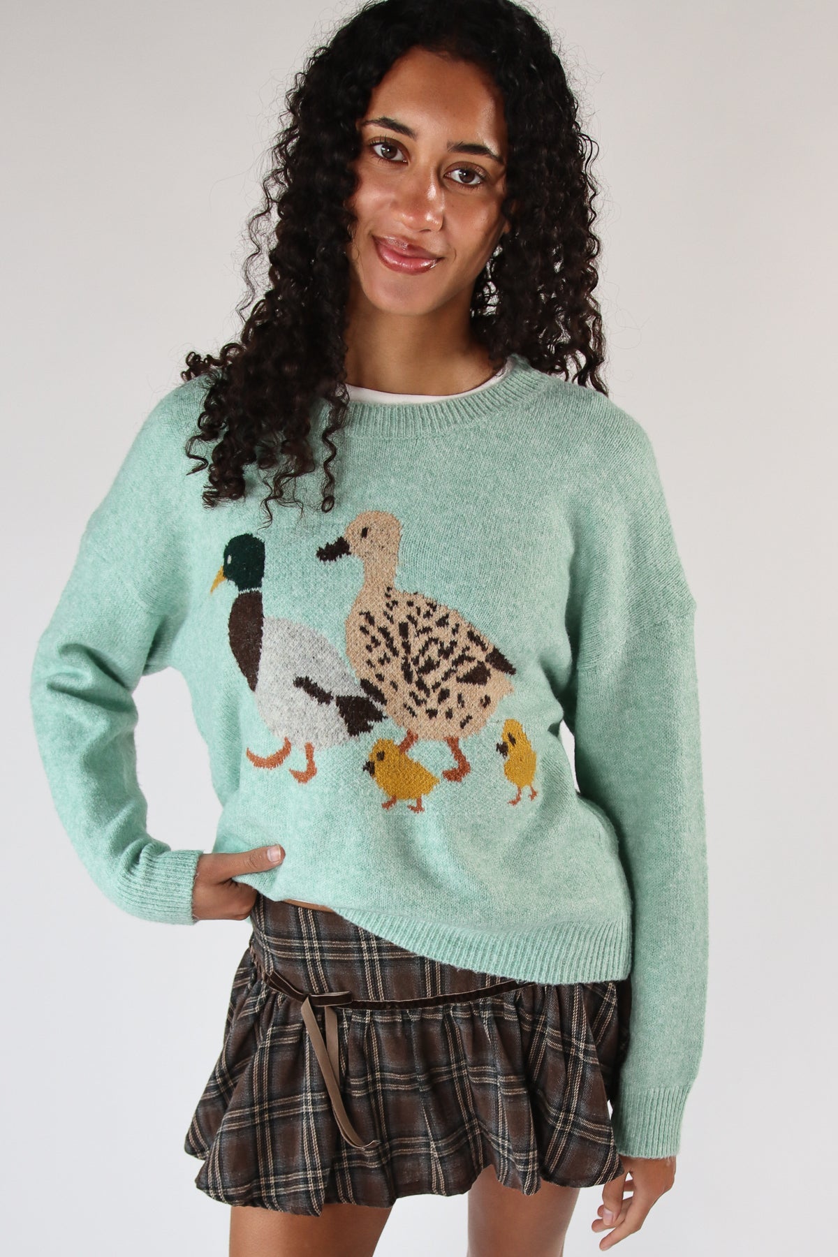 Duck Family Sweater