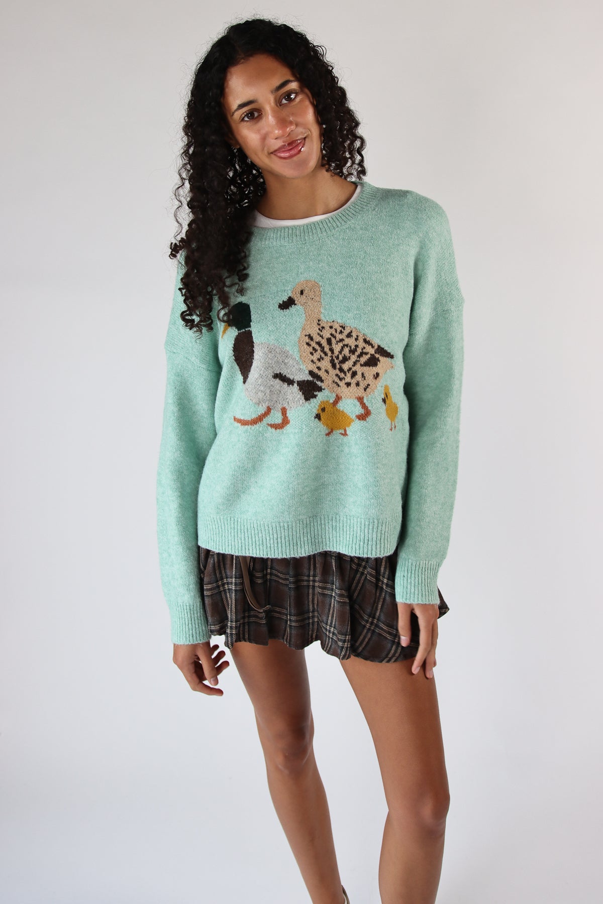 Duck Family Sweater