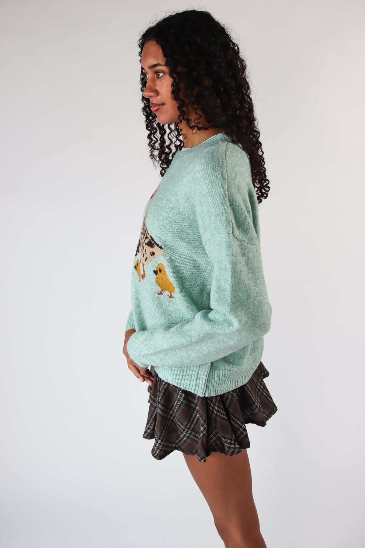 Duck Family Sweater