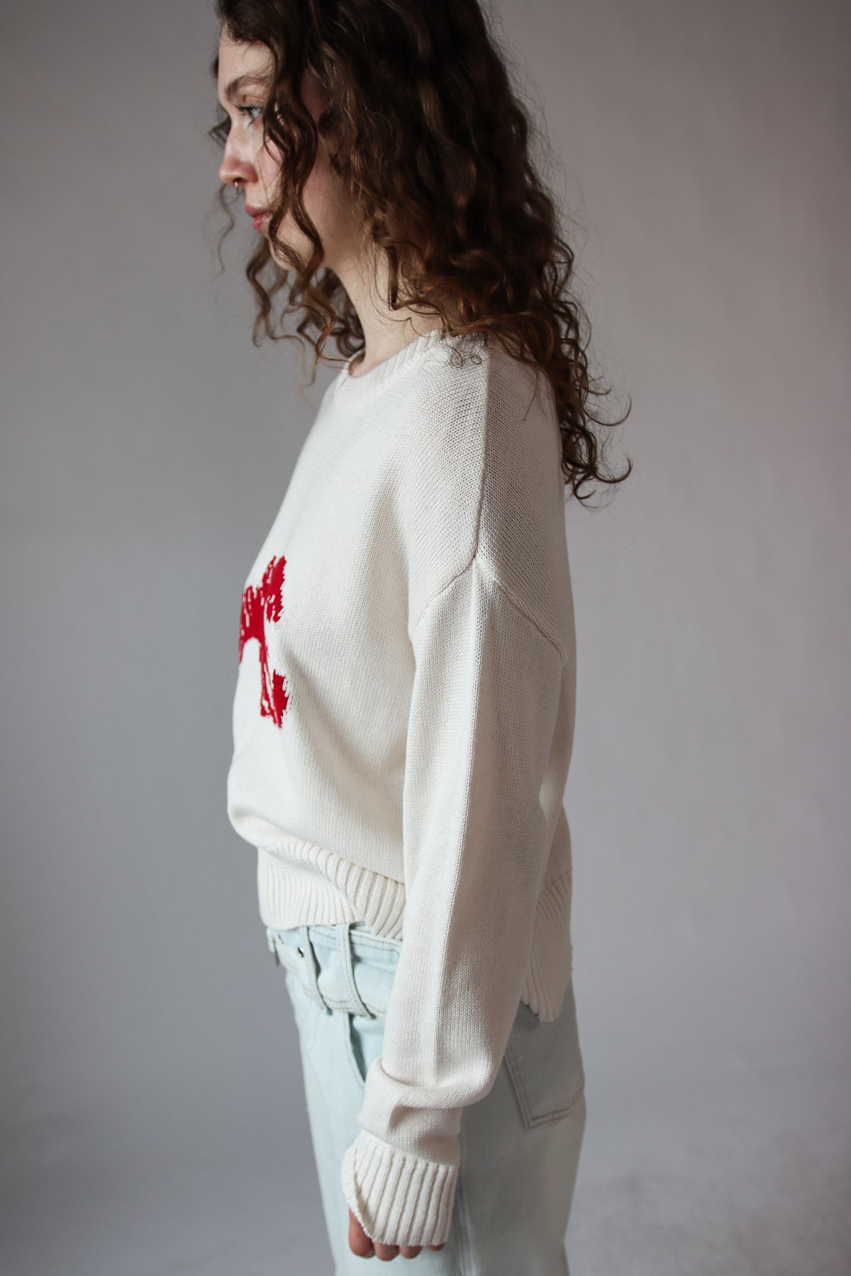 Lobster Sweater