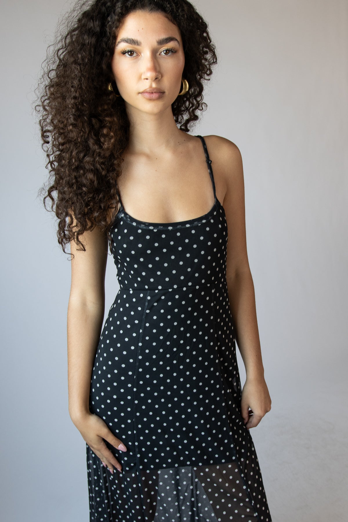 Mesh dot Fit and Flare Dress