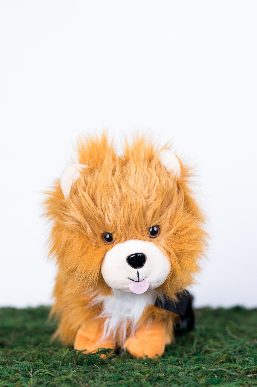 Pomeranian Pupper Pack