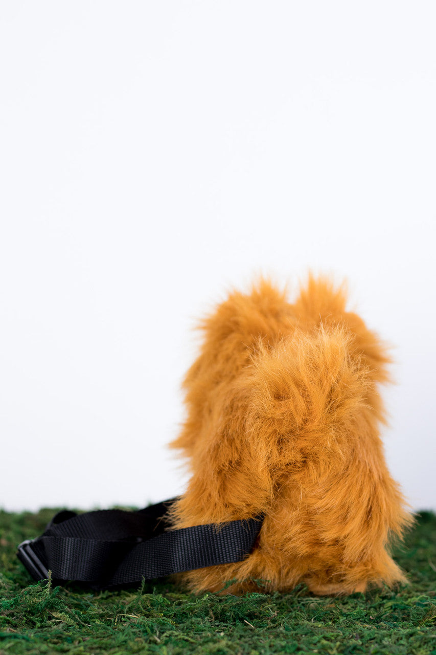 Pomeranian Pupper Pack