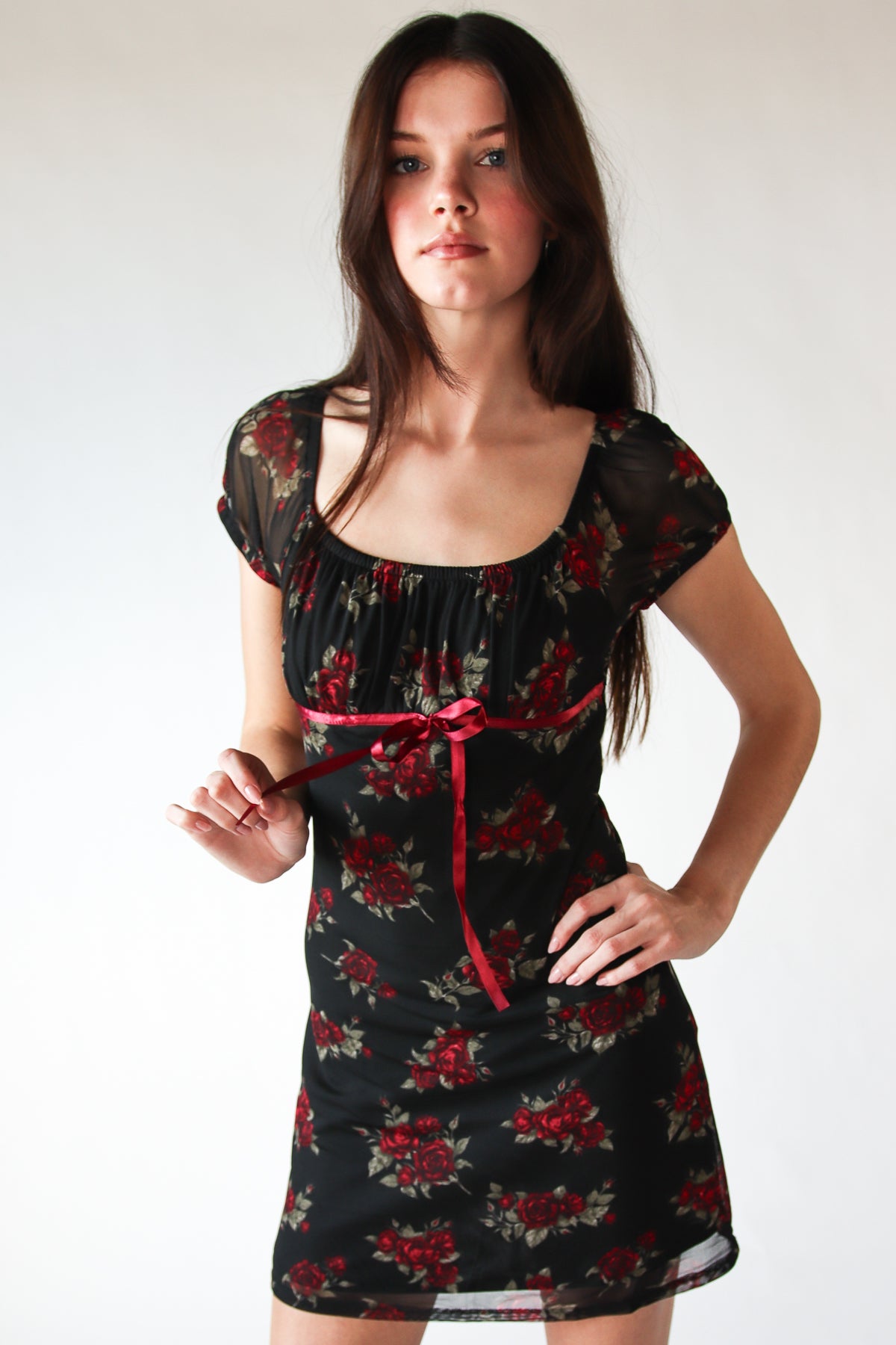 Rose Print Mesh Empire Waist Mini Dress