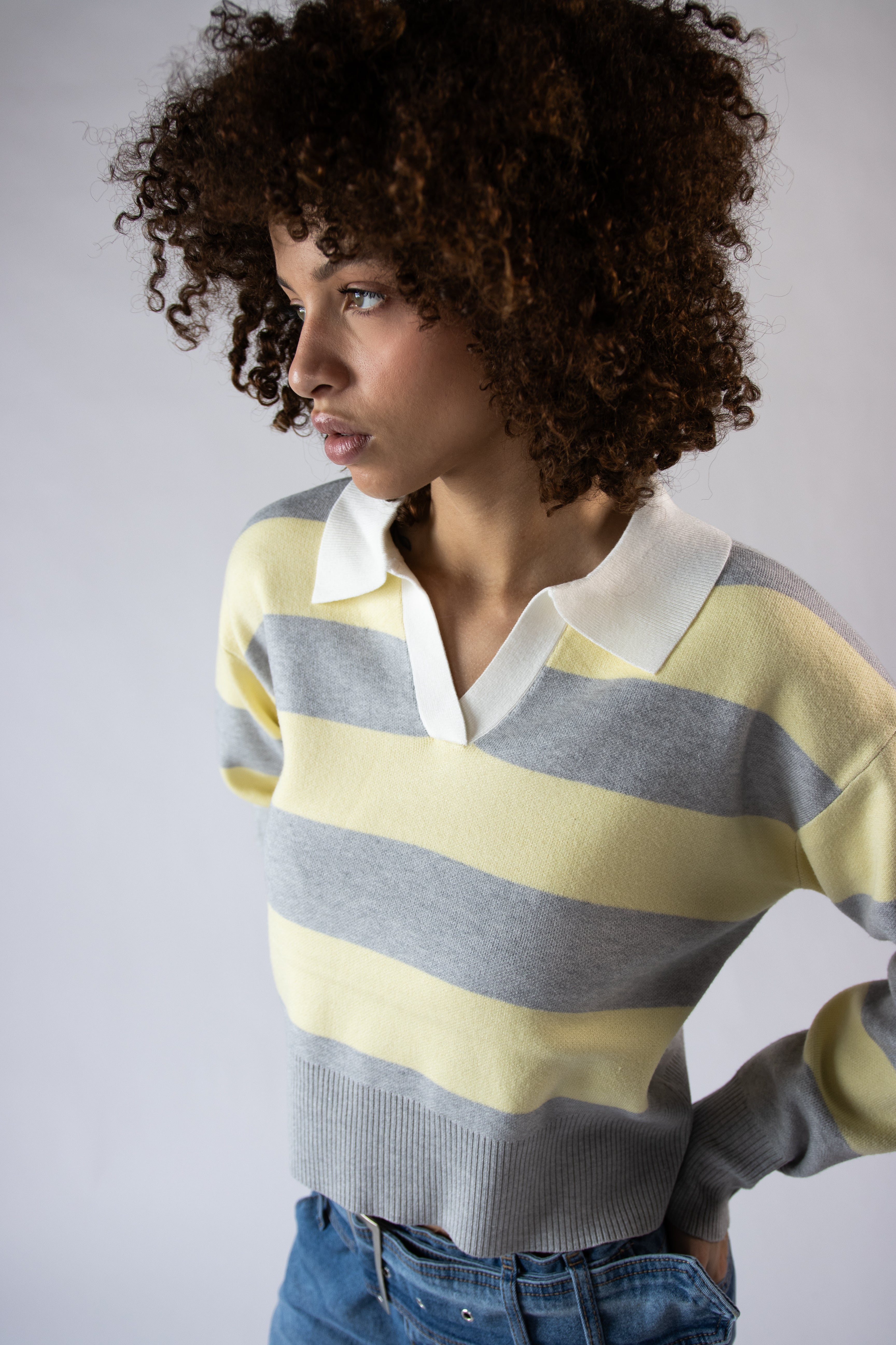 Striped Polo Sweater