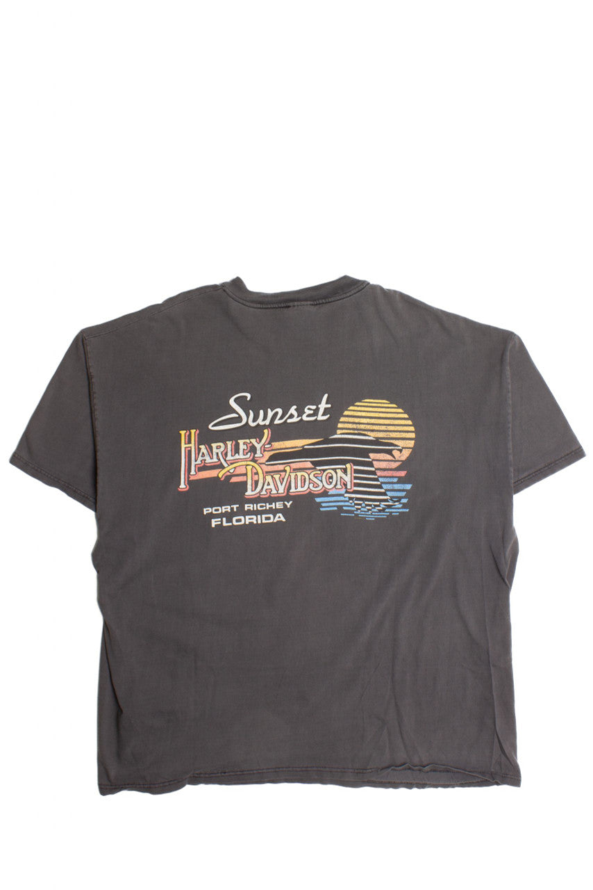 Vintage Harley Davidson T-Shirt (1990s)