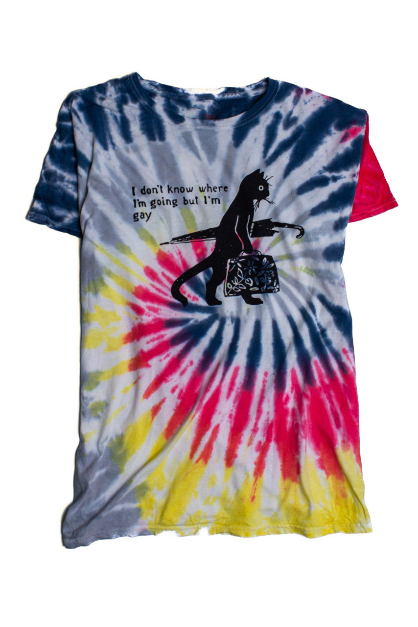 Dark Rainbow Gay Cat Tie Dye Screen Print T-Shirt 1