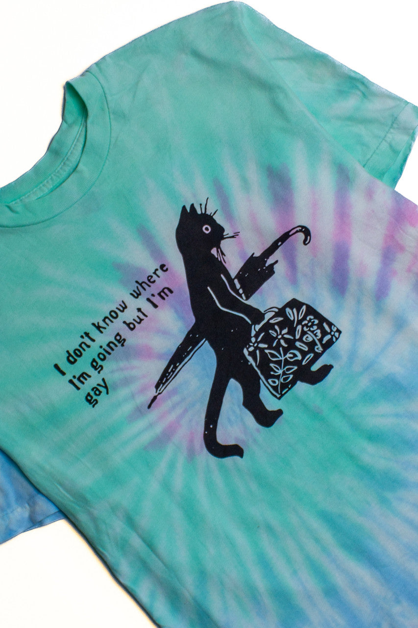 Teal Gay Cat Tie Dye Screen Print T-Shirt