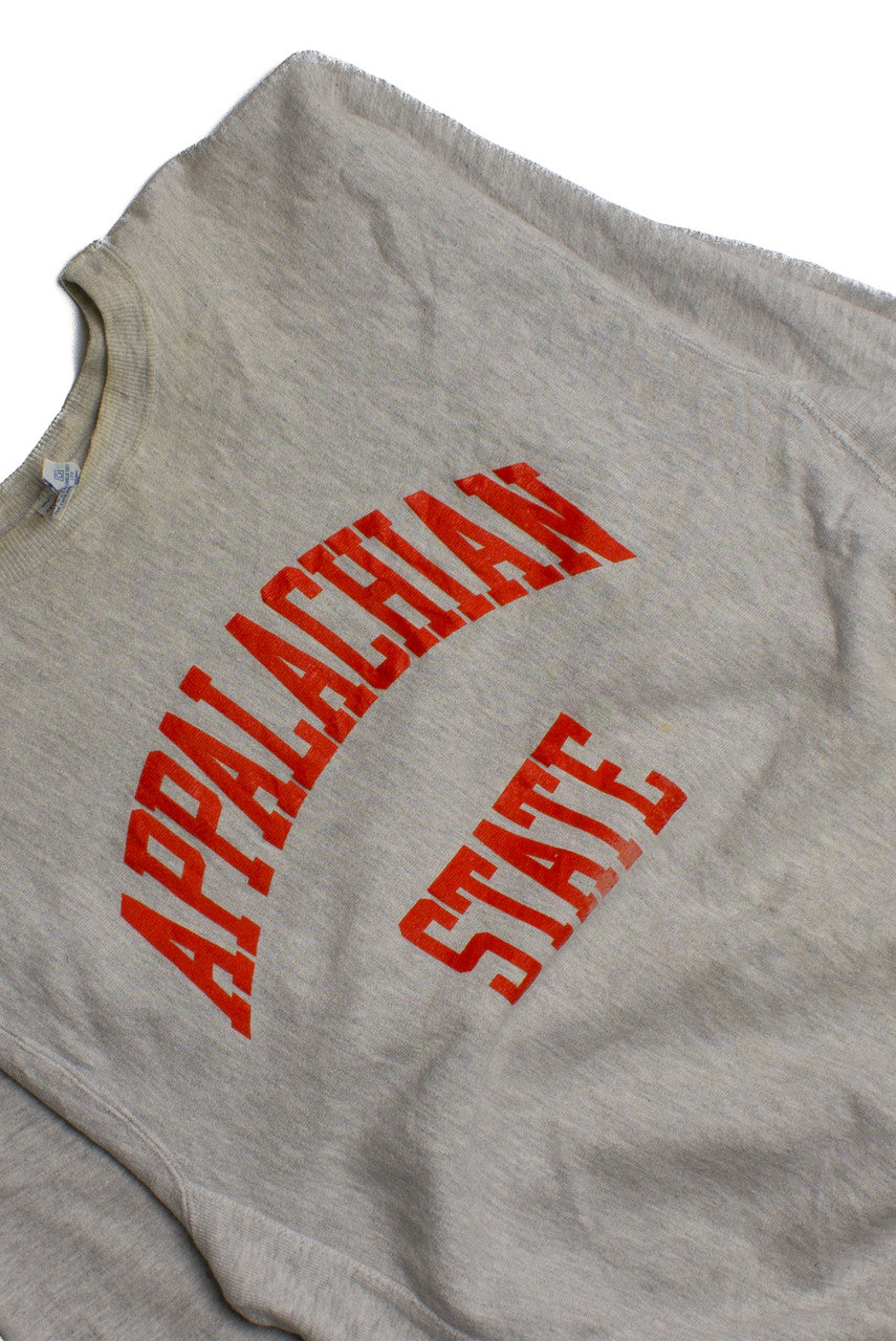 Vintage Champion Reverse Weave Sweatshirt (1990s)