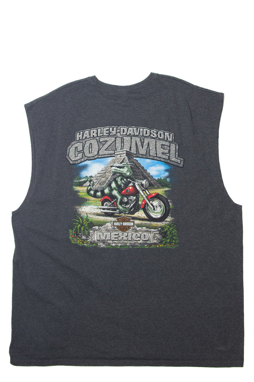Harley Davidson Since 03 Highway Sleeveless T-Shirt (2010s)