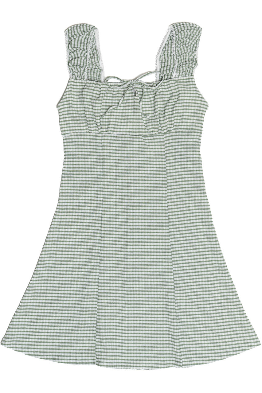 Gingham Fit & Flare Mini Dress