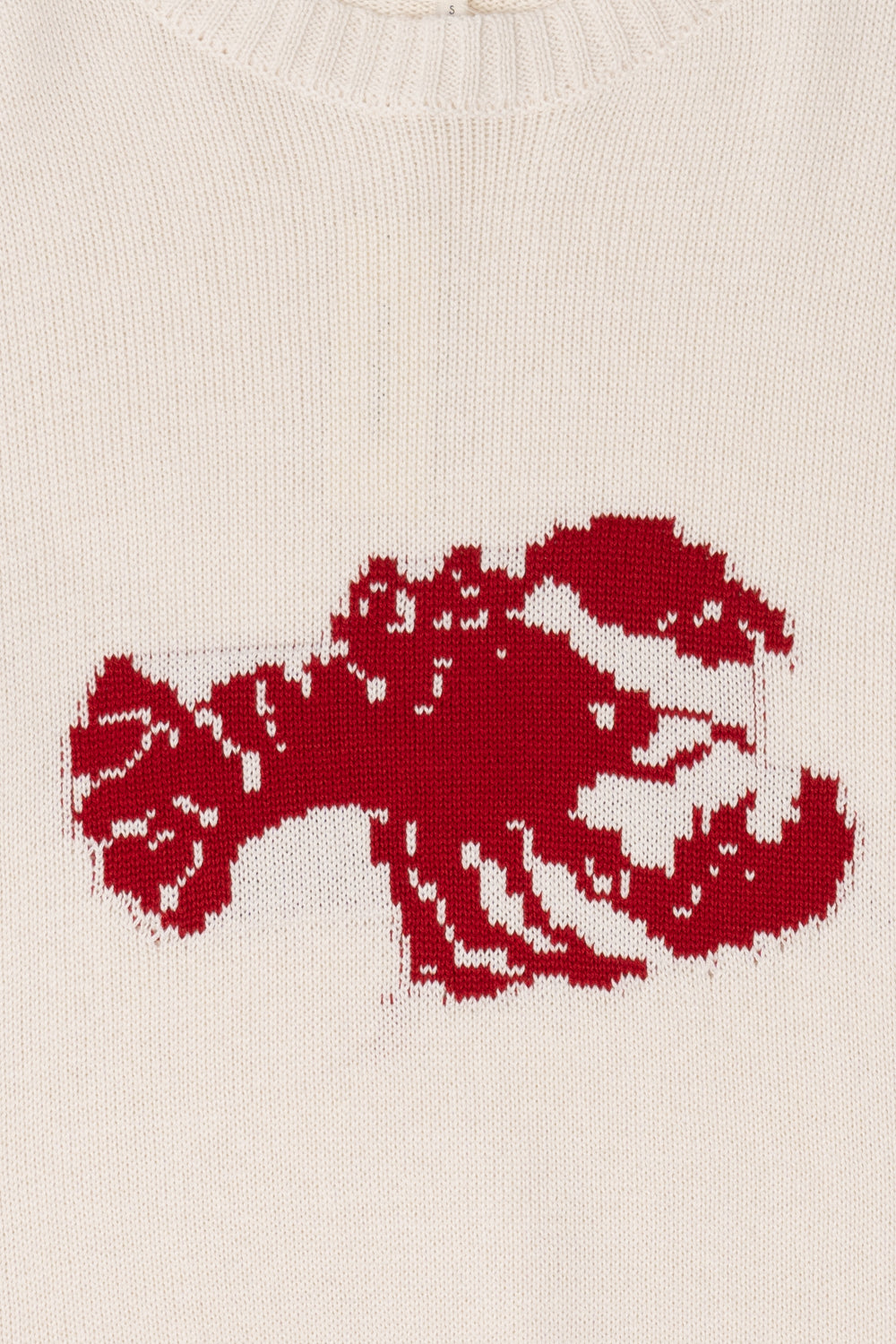 Lobster Sweater