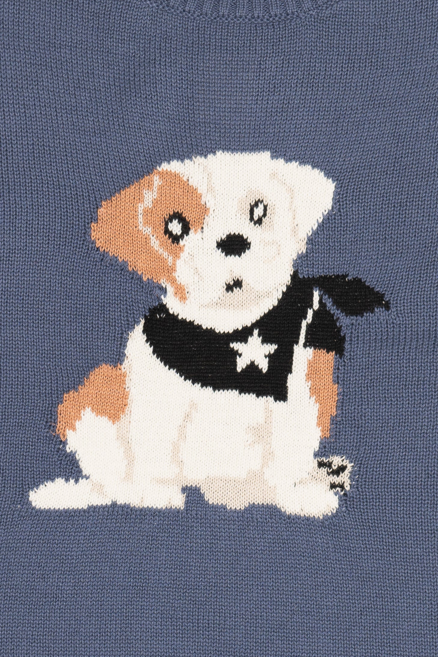 Cute Critter Dog Sweater