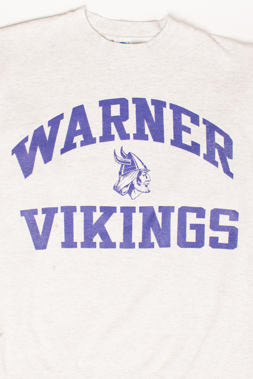 Vintage warner Vikings Champion Sweatshirt (1990s)