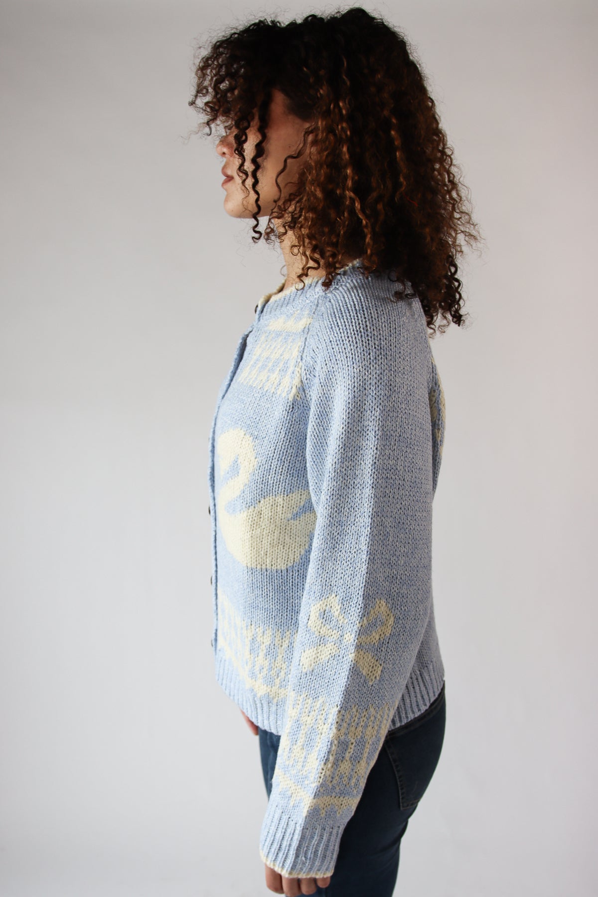 Swan Fair Isle Cardigan Blue