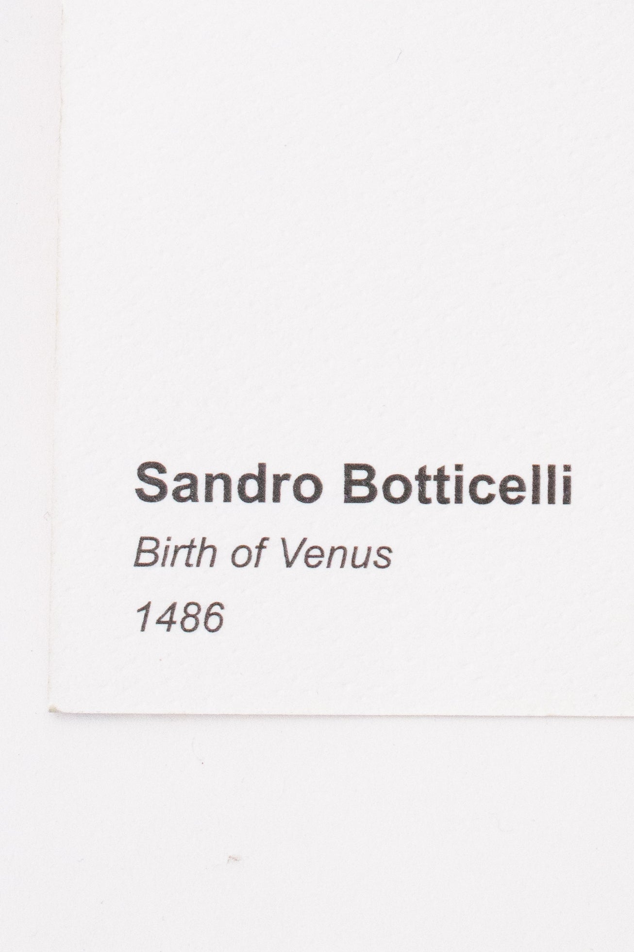 Classic Painting Earrings - Beige (Birth of Venus)