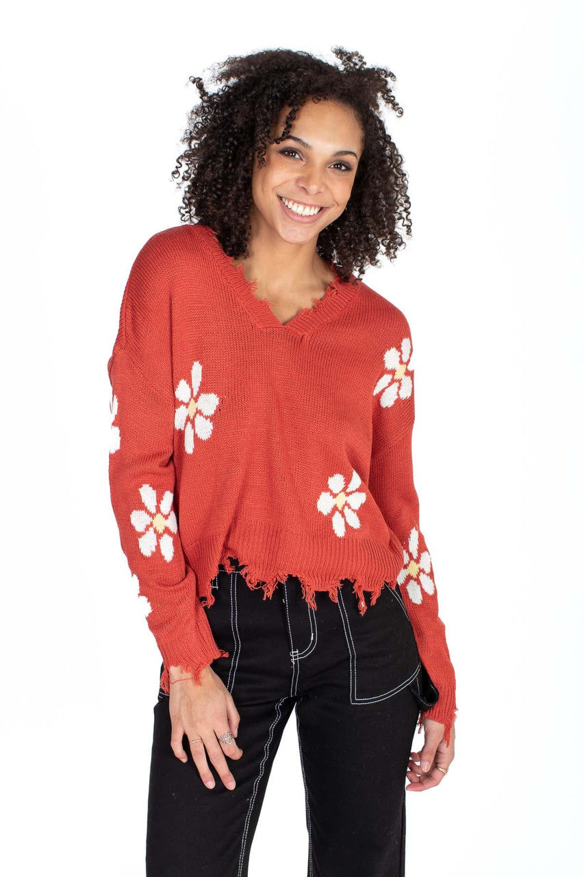 Baked Apple Daisy Sweater