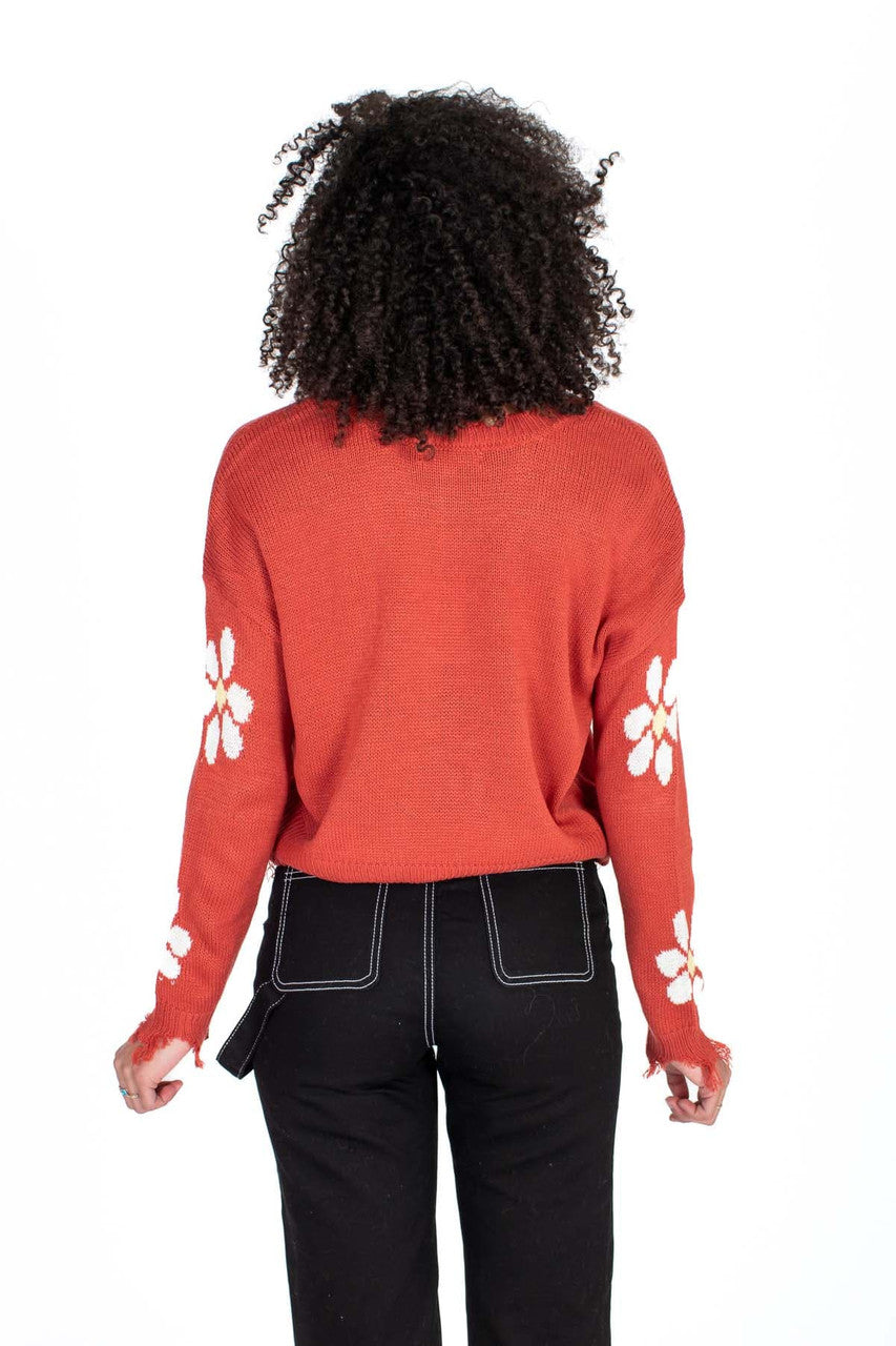 Baked Apple Daisy Sweater