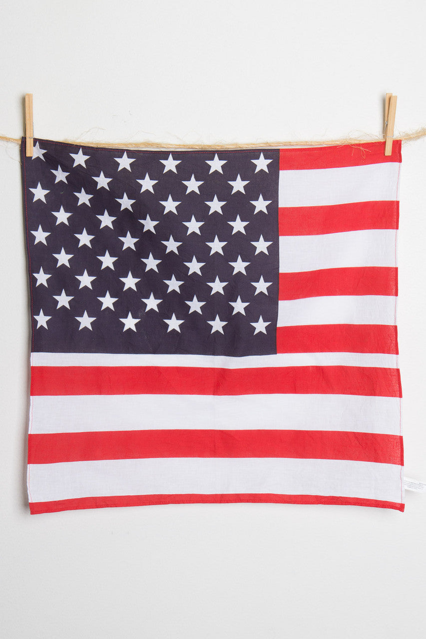 American Flag Bandana 2