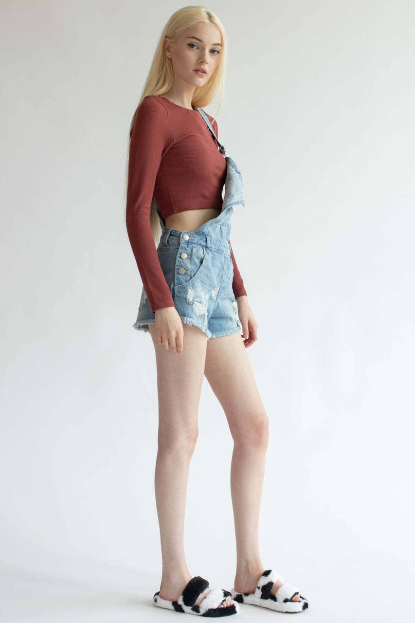 Clay Seamless Long Sleeve Crew Neck Crop Top