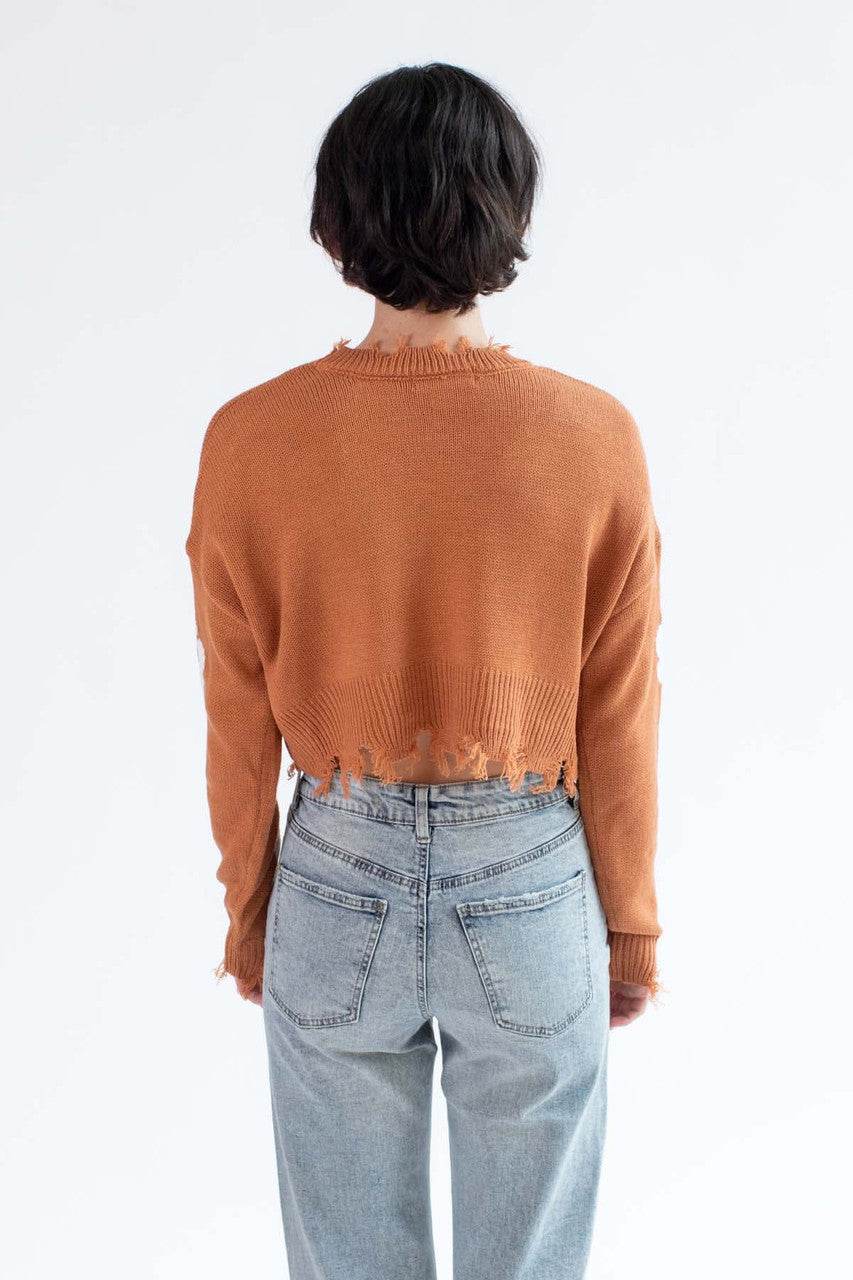 Cropped Flower Frayed Sweater