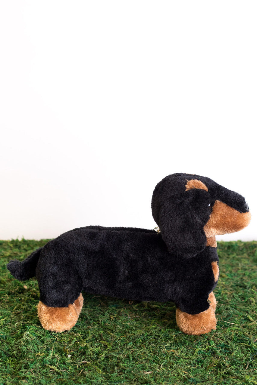 Dachshund Pupper Pack