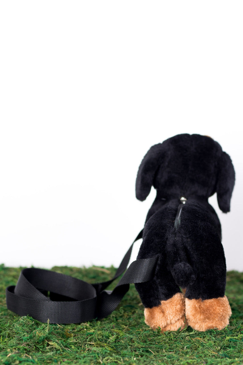 Dachshund Pupper Pack