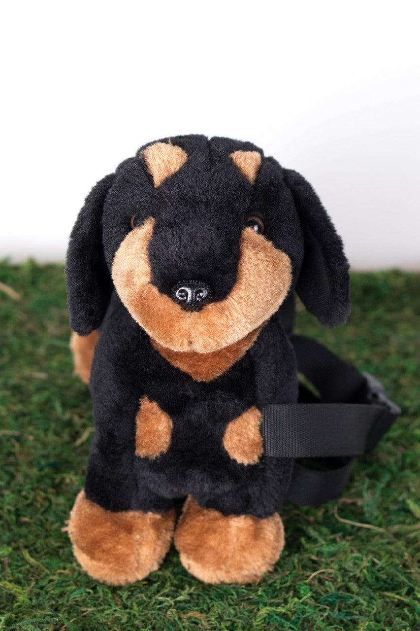 Dachshund Pupper Pack