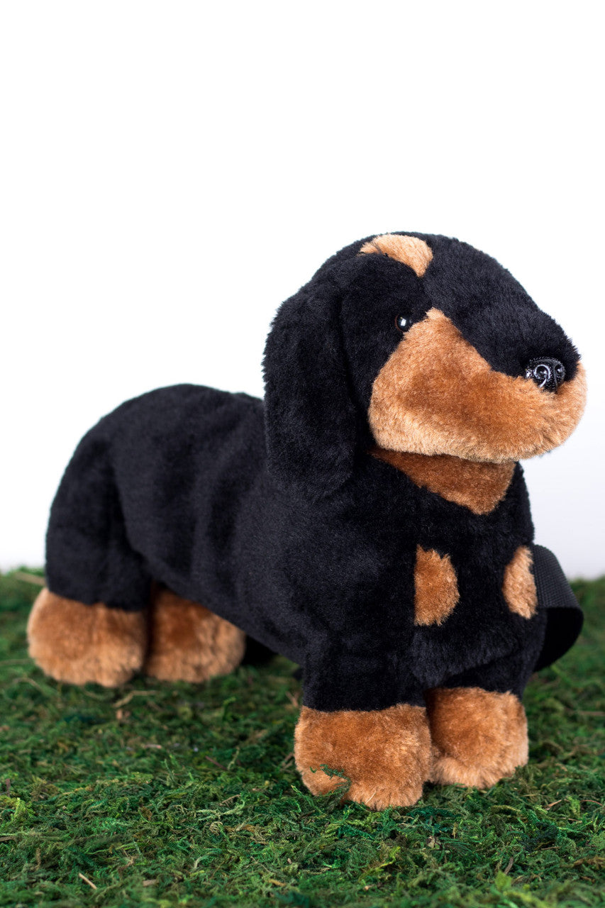 Dachshund Pupper Pack