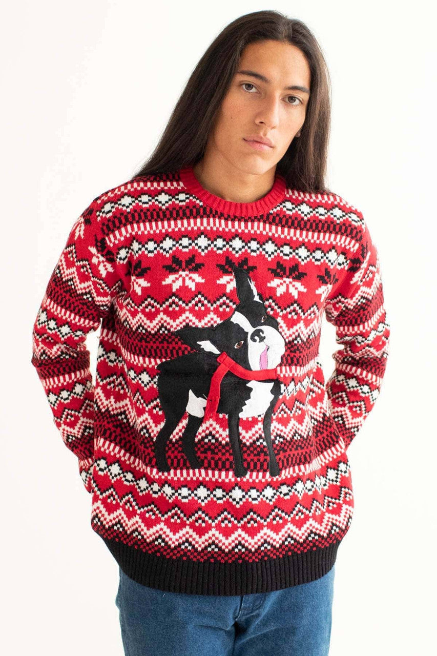 Derpy Christmas Dog Sweater